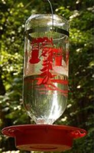 A Review of Duncraft’s Best Hummingbird Feeder Image